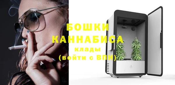 ПСИЛОЦИБИНОВЫЕ ГРИБЫ Алексеевка