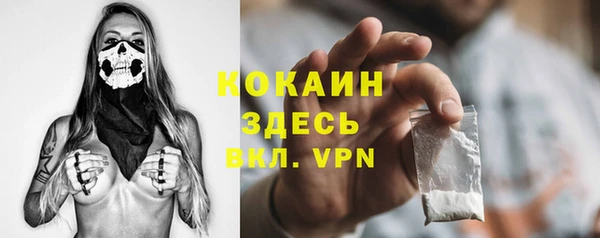 ПСИЛОЦИБИНОВЫЕ ГРИБЫ Алексин