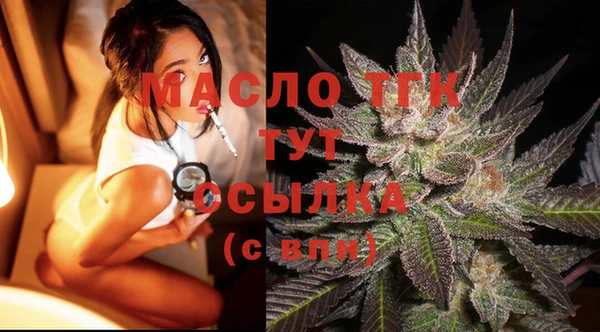 индика Абаза