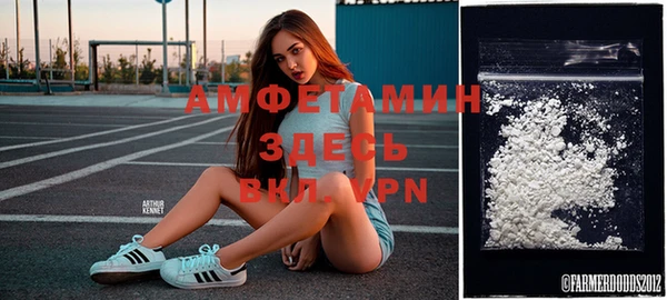 индика Абаза
