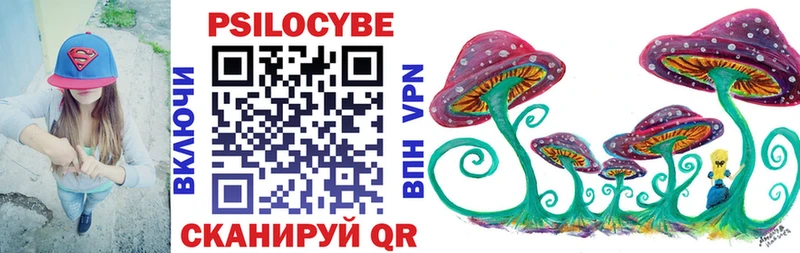 Псилоцибиновые грибы Magic Shrooms  KRAKEN сайт  Бийск  хочу наркоту 