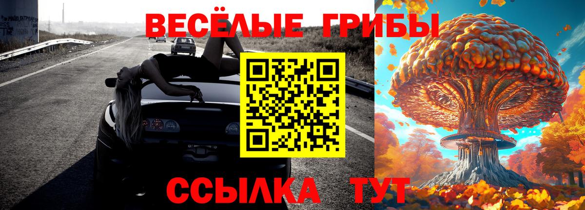 Псилоцибиновые грибы Psilocybe  Вход с VPN  Псилоцибиновые грибы Psilocybine cubensis  Бийск 